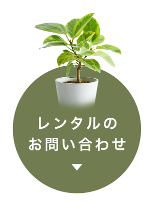 レンタルのお問い合わせ