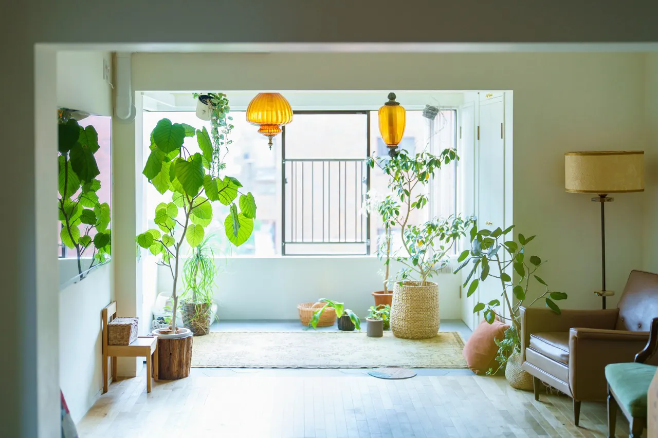 植物を置いた個人宅