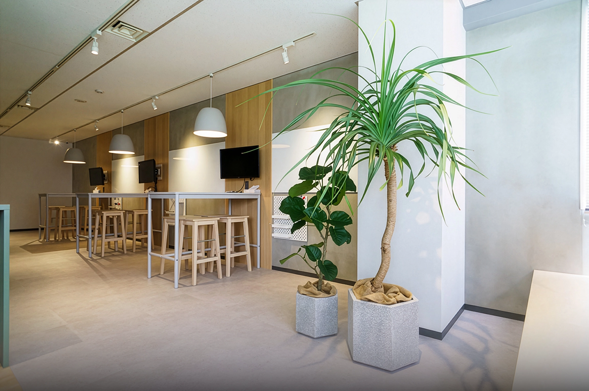 植物がたくさんあるおしゃれな栽培所